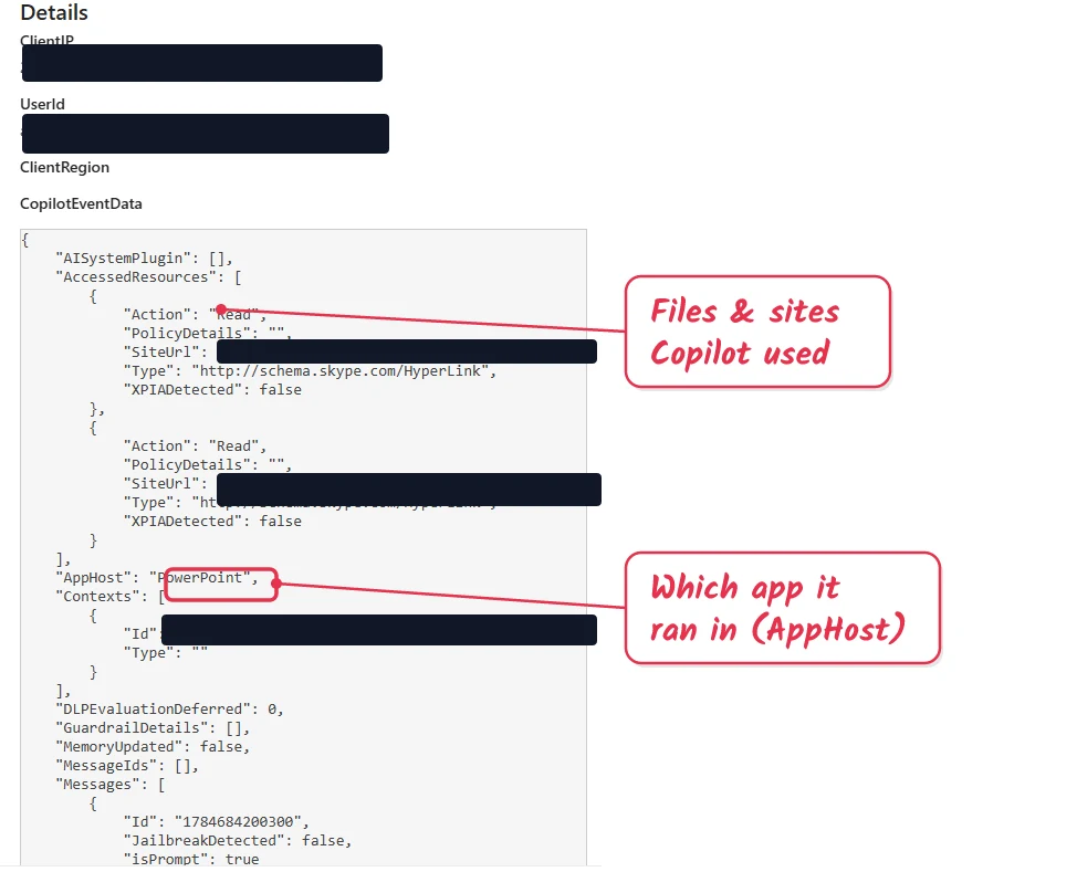 The CopilotEventData JSON inside a Copilot audit record, showing AppHost, AccessedResources, and message fields, with user and URL details redacted.