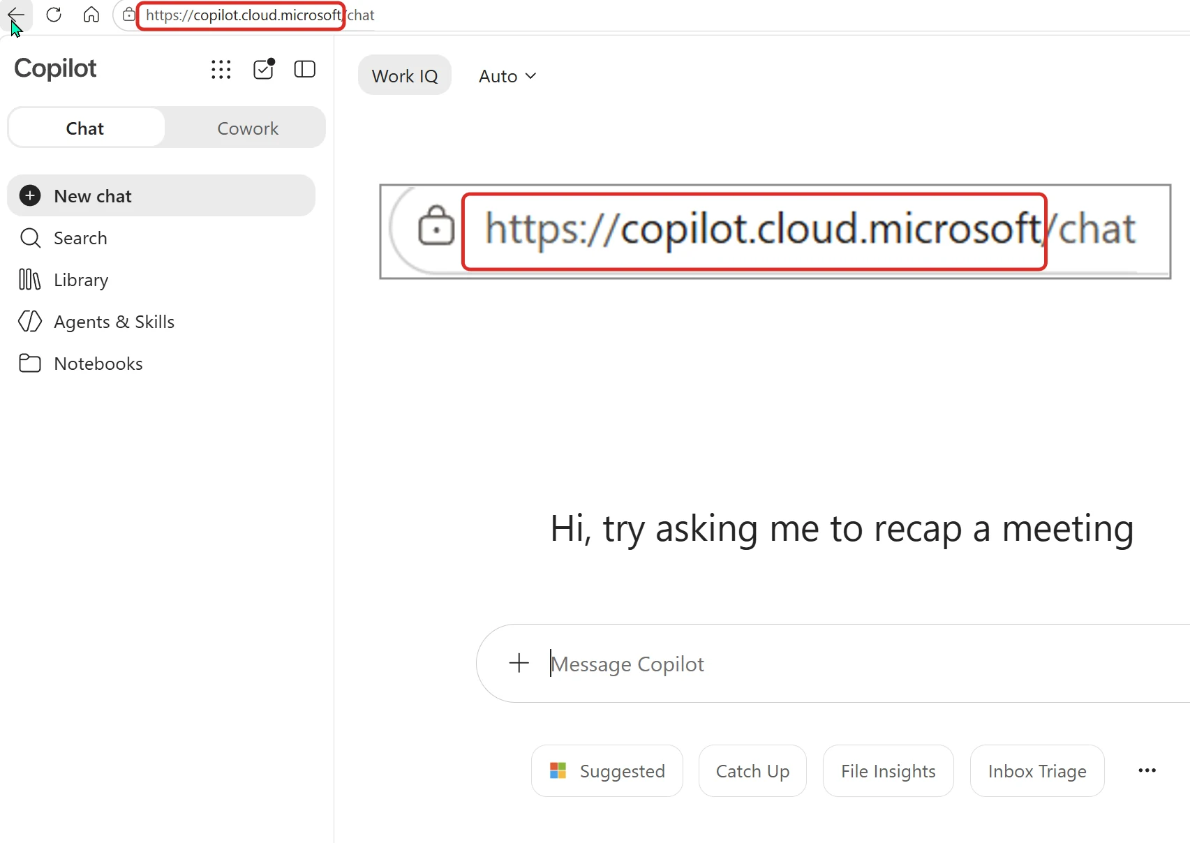 The work Copilot app signed in, with the address bar showing https://copilot.cloud.microsoft/chat, Chat and Cowork tabs, and a left sidebar with New chat, Search, Library, Agents and Skills, Notebooks. The address is enlarged underneath so it is readable